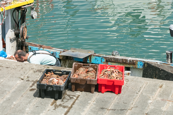 Kilmore Quay 2018 (009)